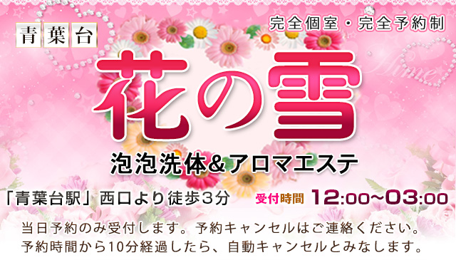 【花の雪】